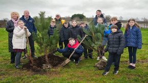 A group of school children, staff and teachers plant trees together in Dunmurry