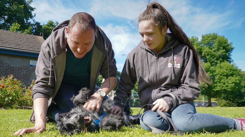 Trevor McMahon, team leader at MACs Muddy Paws and Megan McCausland play with Cali the Springer Spaniel