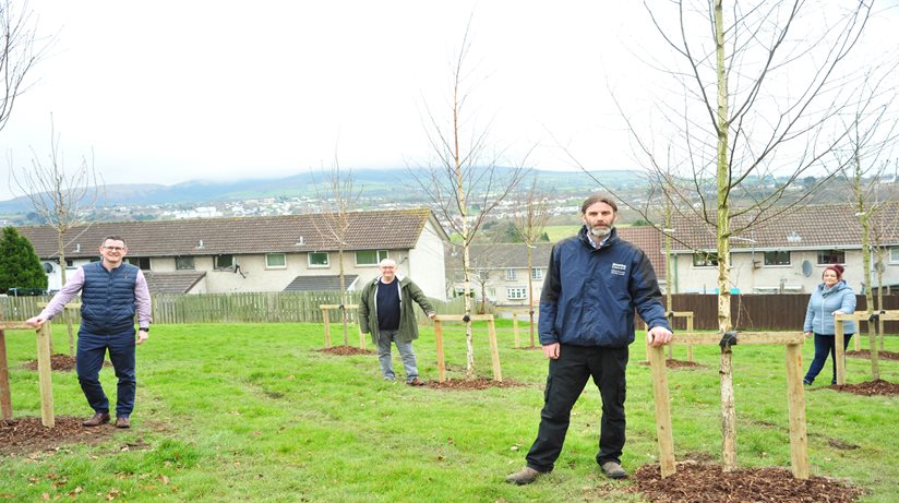 Pictured at the newly planted trees at Drumgullion Park, Newry are, from left; Niall Fitzpatrick, Team Leader for the Housing Executive, John McCabe, Lisdrumgullion Community Group; Aislinn Campbell, Lisdrumgullion Community Group and Neil Andrews, Grounds Maintenance Officer for the Housing Executive.
