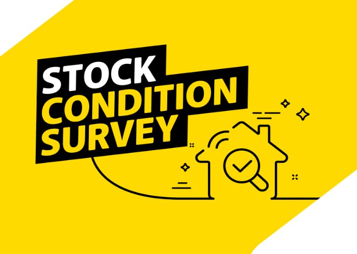 Stock Condition Survey
