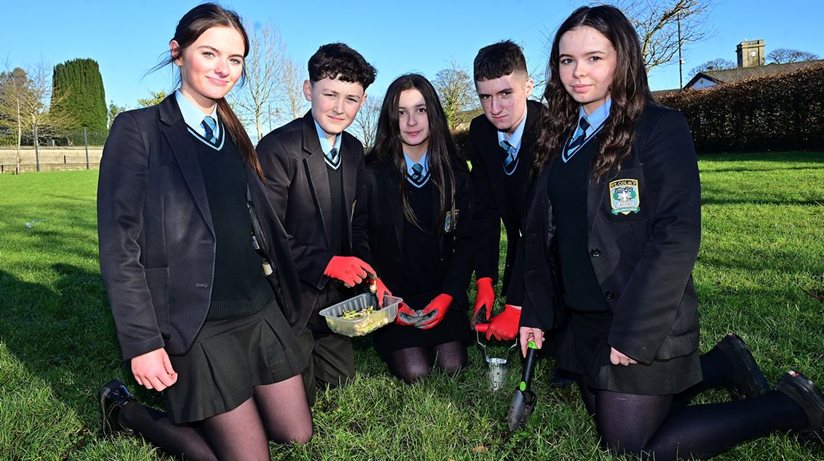 Cornerstone Youth Club and St. Colm’s High school students working together to plant bulbs at Plantin Park. 