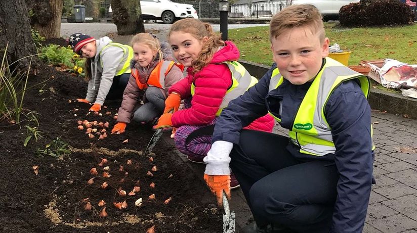 Volunteers in action