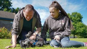 A man and woman play with a springer spaniel dog outdoors.