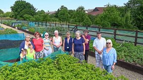 Group of people in an allotment