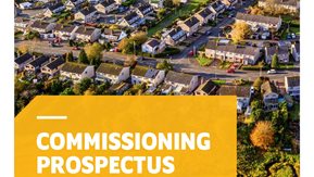Aerial image of housing and title "Commissioning Prospectus"