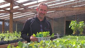 Man pictured with seedlings in a greenhouse